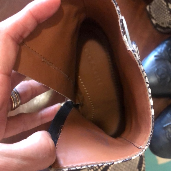 Coach Python Booties - Picture 4 of 4